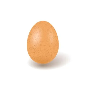 One brown chicken egg with shadow isolated on white background close up on wh Stock Illustration