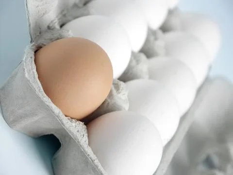 One brown egg in the midst of white eggs Stock Photos