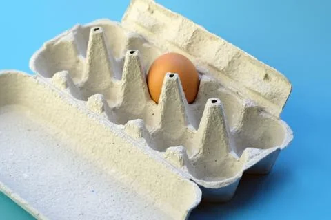 One brown egg in packing. Stock Photos