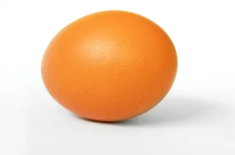 One brown egg Stock Photos