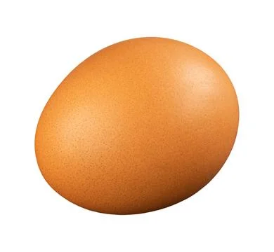 One brown uncooked chicken egg isolated on white background Stock-Fotos