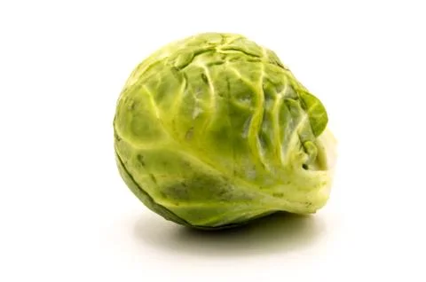 One of Brussels sprouts Stock Photos