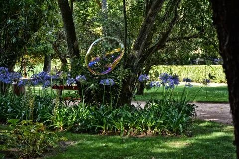 One Bubble 스톡 사진