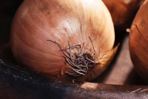 One Bulb Onion Raw Vegetable Stock Photos