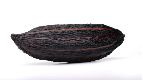 One cacao fruit is rotating on white background. Stock Footage 159151928