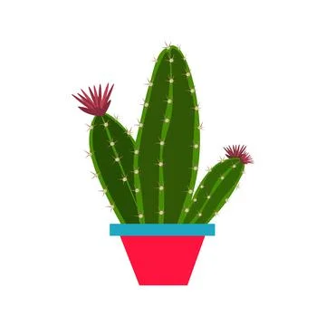 One cactus in a pot isolated on a white background. Stock Illustration