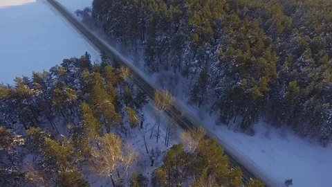 One car driving through the winter forest on country road. Top view from drone Stock Footage