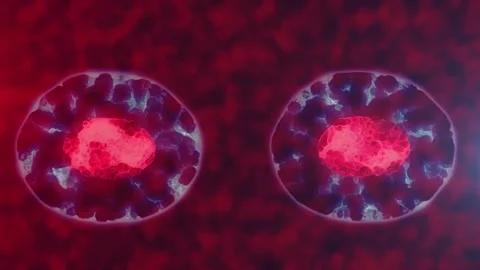 One cell is divided into two Stock Footage 246538817