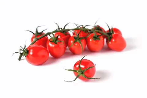One cherry tomato on a background of cherry twig, white background close-up Stock Photos