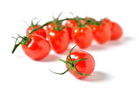 One cherry tomato on a background of cherry twig, white background close-up Stock Photos