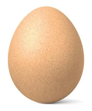 One chicken brown egg with shadow Stock Illustration