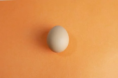 One chicken egg on a brown background Stock Photos