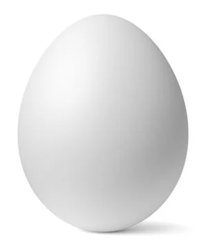 One chicken white egg with shadow Stock Illustration