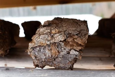 One chunk of peat piled up for drying on wooden shelf. Peat production Stock Photos