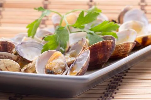 One clams Stock Photos