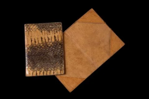 One closed and one open the cover of the passport made out of snake skin on a Foto stock