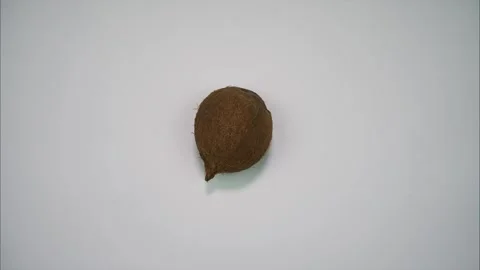 One coconut comes in the middle of the frame, spins and leaves the frame. StopMo Stock-Footage 317578137