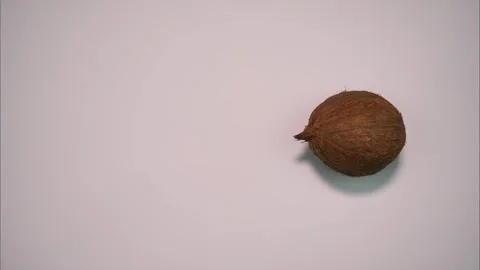 One coconut moves from left to right, turns and leaves the frame. Stop motion Stock Footage 317578136