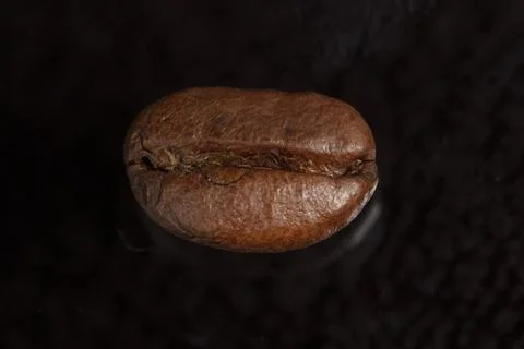 One coffee bean close-up on a black background. Stock Photos