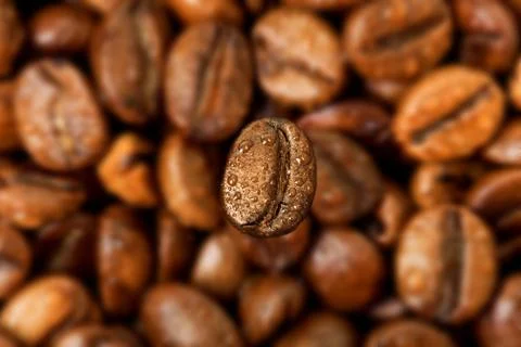 One coffee bean on the diffuse background of a lot of coffee beans lying Stock Photos