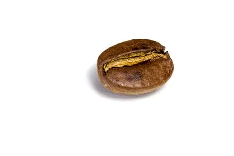 One coffee bean Stock Photos