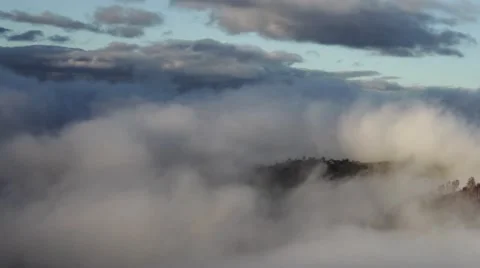 One cold morning autumn mist rises over the forest. It is a white mass that 8 Stock Footage 59756391
