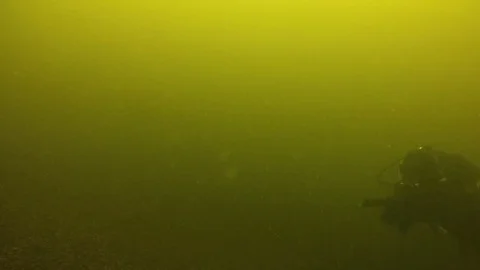 One combat swimmer diving underwater in green waters with the rifle in hands Stock Footage 121870439