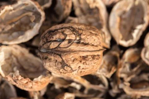 One complete walnut with cracked walnut shells. Pieces of nutshells. Close up. Stock Photos