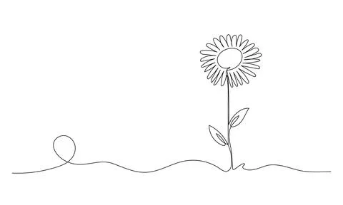 One continuous line art sun flower hand-drawn isolated on white background. Stock Illustration
