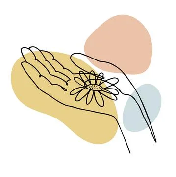 One continuous line chamomile flower lies on the palm. Stock Illustration