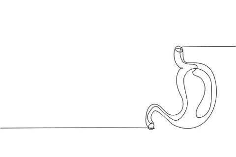 One continuous line drawing of anatomical human stomach organ イラスト素材