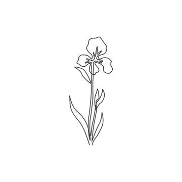 One continuous line drawing beauty fresh perennial plants for wall decor home Illustrazione stock