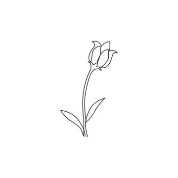 One continuous line drawing beauty fresh bulbous perennial plant for home art Stock Illustration