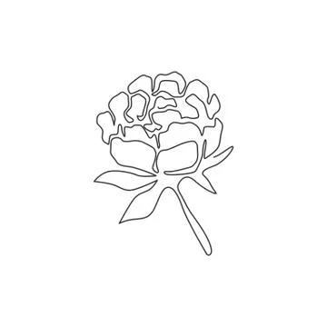 One continuous line drawing of beauty fresh perennial plant wall decor home Stock Illustration