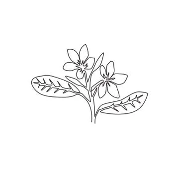 One continuous line drawing beauty fresh plumeria for wall home decor art Stock Illustration