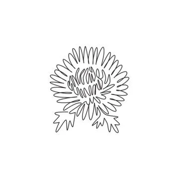 One continuous line drawing of beauty fresh chrysanthemum for garden logo Stock Illustration