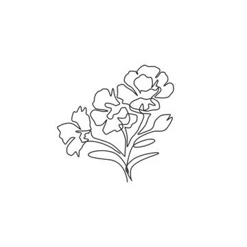 One continuous line drawing beauty fresh dianthus for home wall art decor Illustrazione stock