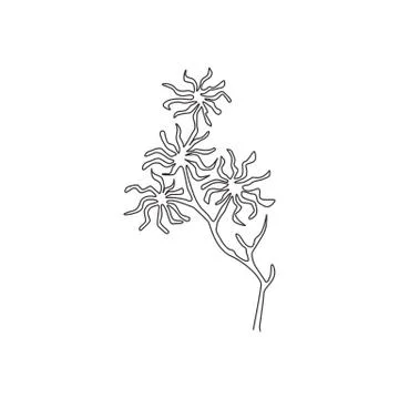 One continuous line drawing beauty fresh witch hazels for home art wall decor Stock Illustration