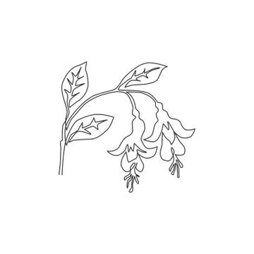 One continuous line drawing of beauty fresh fuchsia for home wall decor Stock Illustration