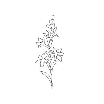 One continuous line drawing beauty fresh polianthes tuberosa for home decor Illustration