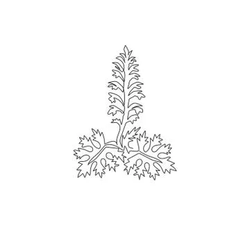 One continuous line drawing beauty fresh acanthus for home art wall decor 스톡 일러스트