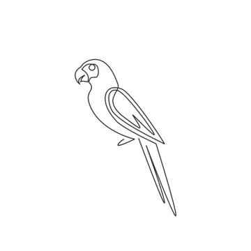 One continuous line drawing of cute parrot bird with long tail for logo Stock Illustration