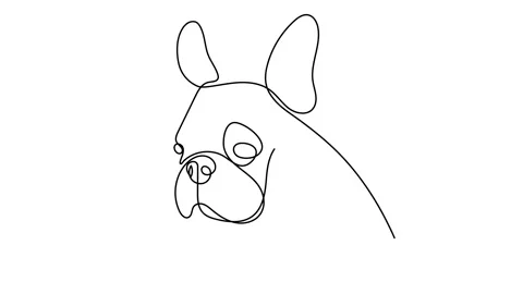 One continuous line drawing of dashing bulldog for company logo identity. Purebr Stock Footage 145888749