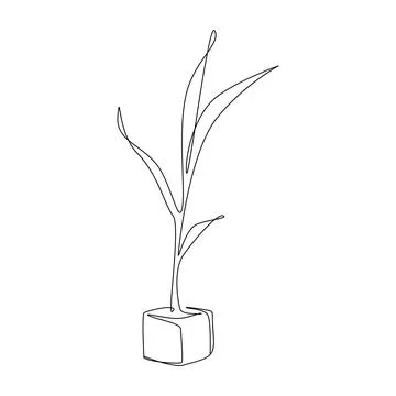 One continuous line drawing of floor potted palm tree. Linear contour tall Stock Illustration