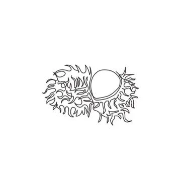 One continuous line drawing of half sliced healthy organic rambutans Stock Illustration