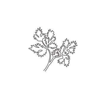 One continuous line drawing of healthy organic coriander leaf for farm logo Illustrazione stock