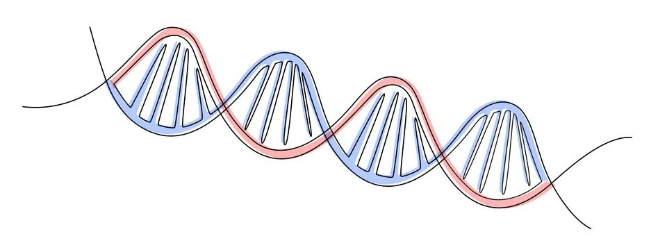 One continuous line drawing of helix DNA. Concept of medical and science Stock Illustration
