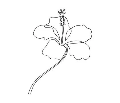 One continuous line drawing of hibiscus flower. Floral abstract symbol in simple Stock Illustration