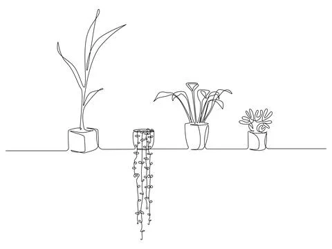 One continuous Line drawing of House plants in pots. Succulents and Foliage Stock Illustration
