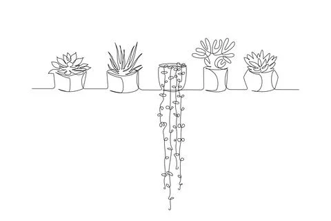 One continuous Line drawing of House plants in pots. Succulents and Beautiful Stock Illustration